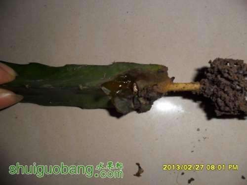 214509meov48vz8uh4o0io.jpg