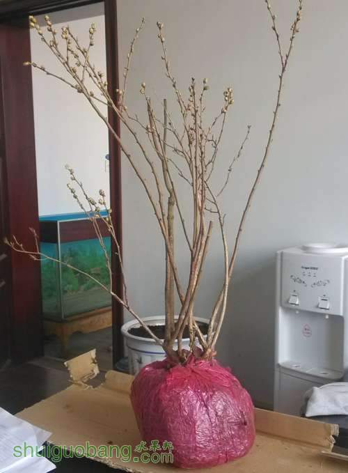 QQ��ͼ20130329000616.jpg