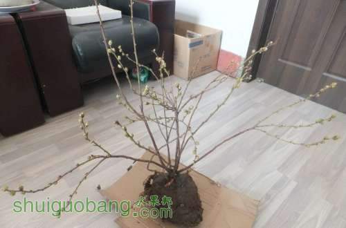 QQ��ͼ20130329000646.jpg