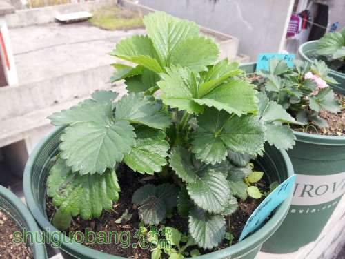 20130328_115650.jpg
