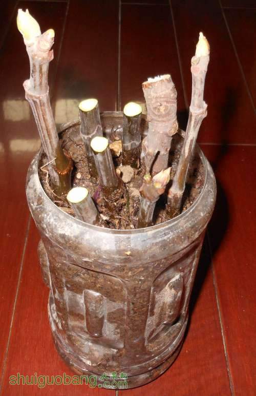 ��Ƭ 283236772.jpg