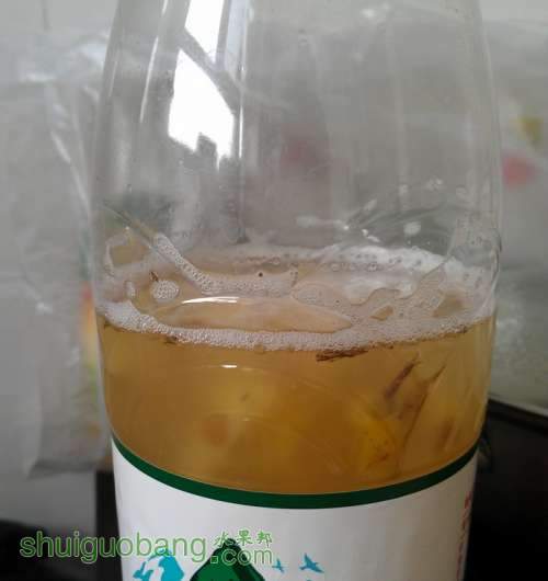 IMAG0538.jpg