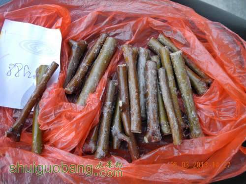 201231ë�� 005.jpg