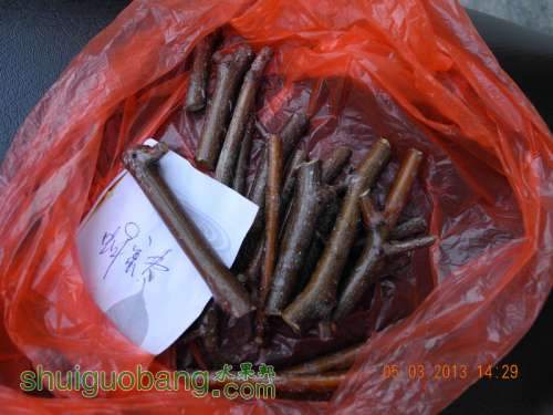 201231ë�� 008.jpg