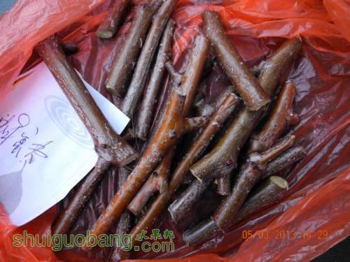 201231ë�� 009.jpg
