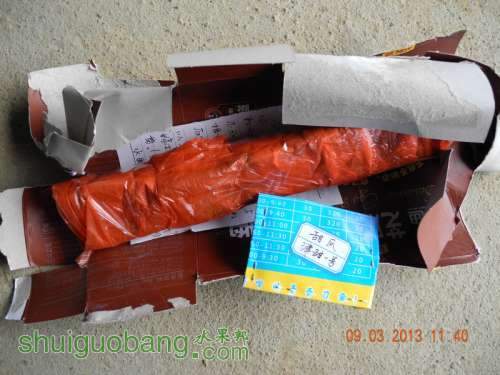 201231ë�� 015.jpg