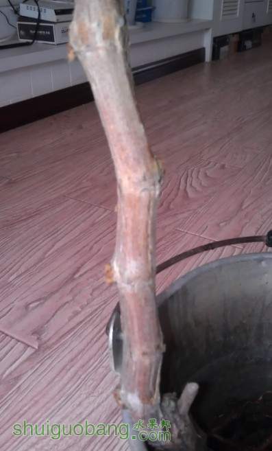 QQ��ͼ20130401142213.jpg