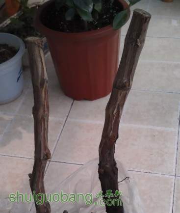 QQ��ͼ20130401142249.jpg