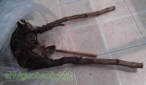 QQ��ͼ20130401142257.jpg