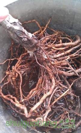 QQ��ͼ20130401142309.jpg