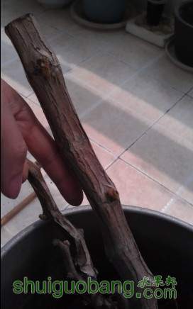 QQ��ͼ20130401142320.jpg