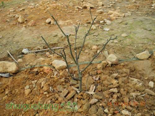 201231ë 035.jpg
