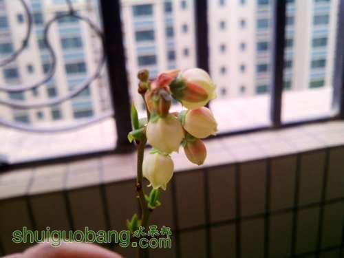IMG-20130402-00462_����.jpg