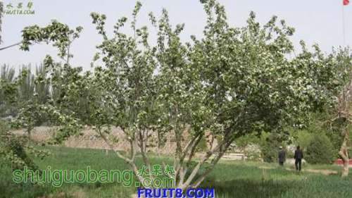 20080427_f2e48eb0da2dfbda90b0AOhN0DBuWu9E.jpg