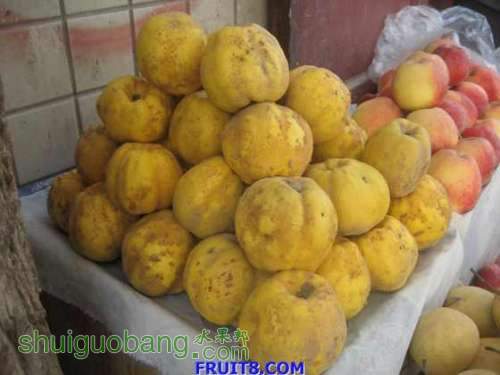 20081106_812fac9bd09f9a111242AGOK6YhAy6PZ.jpg
