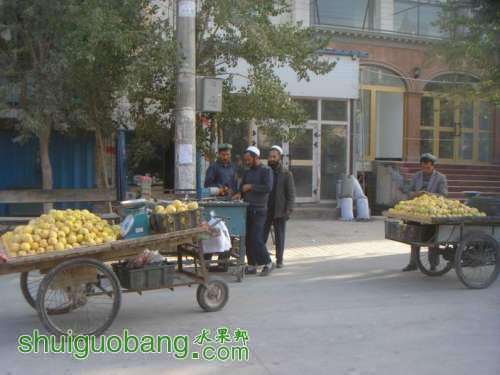 124320bgavu9n2g2gk4voz.jpg