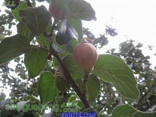 20080708_cc612609367818175da7YWCAuQnxxEbx.jpg