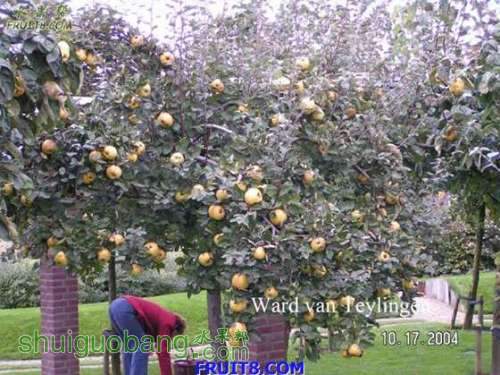 20080205_638b67047d66a2ef48c5DpYNYot3GnWD.jpg