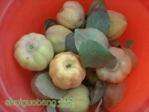 202912f4ymnynim31yysmr.jpg