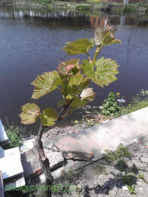 WP_000798.jpg