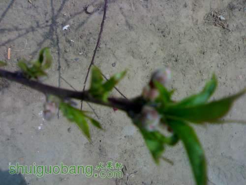 UC_Photo_2.jpg