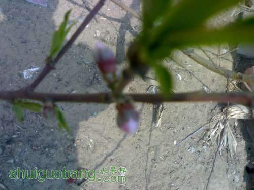 UC_Photo_1.jpg