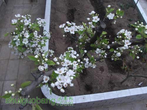 Ƭ 028.jpg
