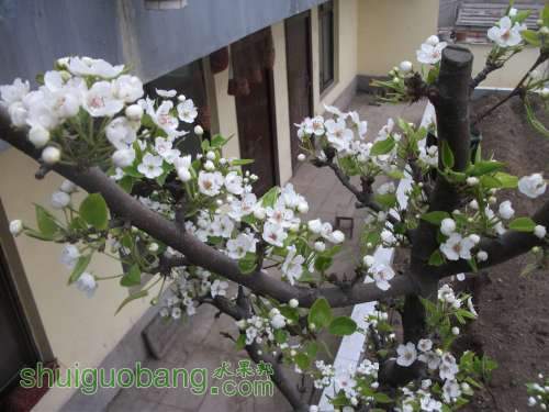 Ƭ 029.jpg