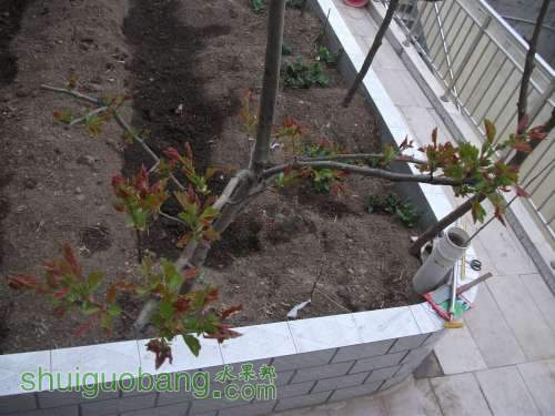 Ƭ 031.jpg