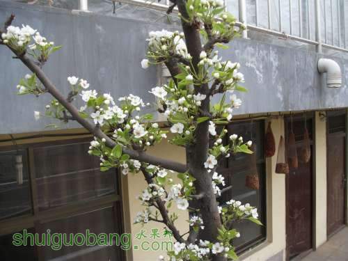 Ƭ 033.jpg