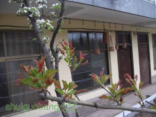Ƭ 038.jpg