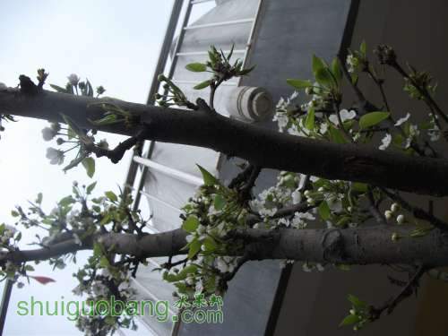 Ƭ 041.jpg