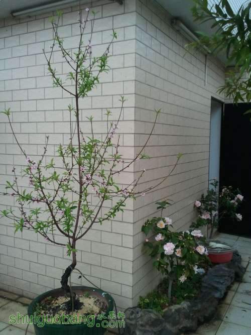 2011-02-18 16.38.07.jpg