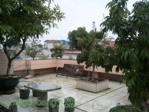 2011-02-18 16.38.32.jpg