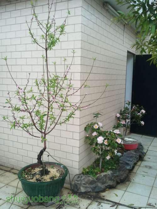 2011-02-18 16.39.30.jpg