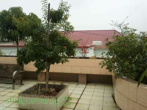 2011-02-18 16.39.49.jpg