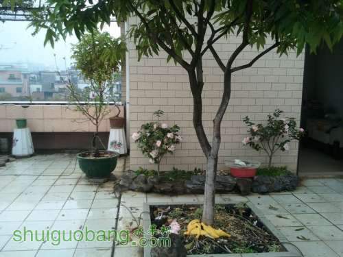 2011-02-18 16.40.30.jpg