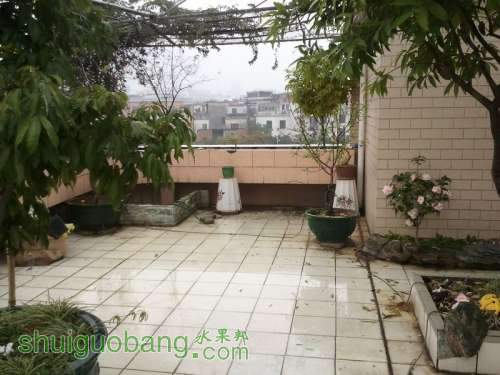 2011-02-18 16.40.55.jpg