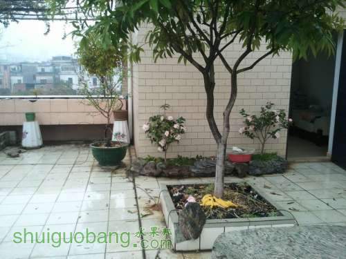 2011-02-18 16.41.07.jpg