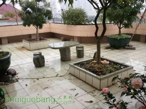 2011-02-18 16.41.42.jpg