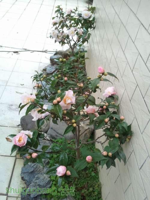 2011-02-18 16.42.35.jpg