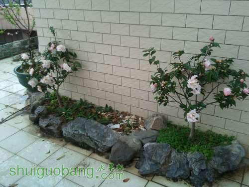 2011-02-18 16.42.53.jpg