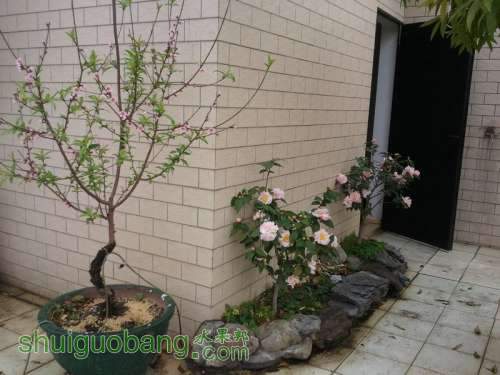 2011-02-19 16.49.00.jpg