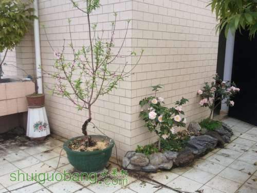 2011-02-19 16.49.30.jpg