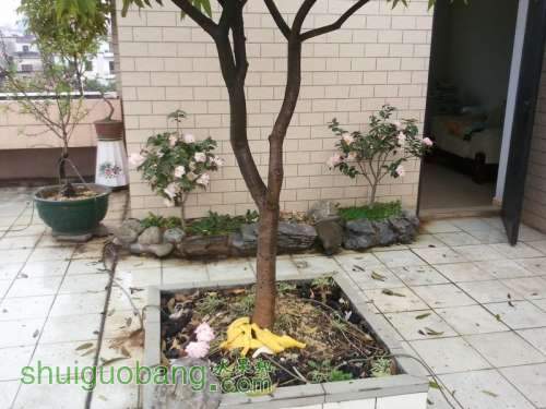 2011-02-19 16.49.56.jpg