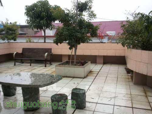 2011-02-19 16.50.24.jpg