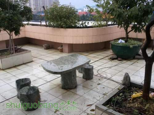 2011-02-19 16.50.46.jpg