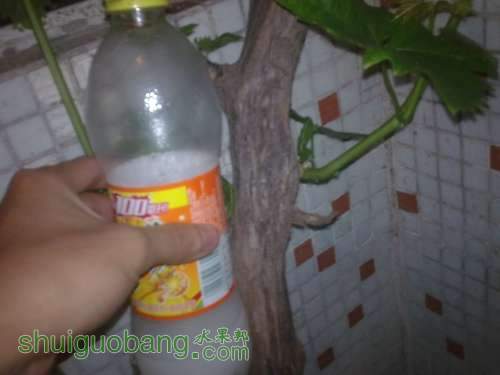 20130403622.jpg
