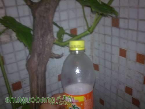 20130403618.jpg