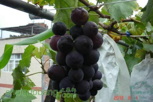 DSC01468.JPG